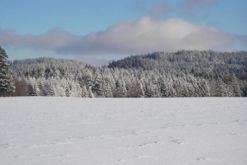 Chalet "Lena" - foto 32