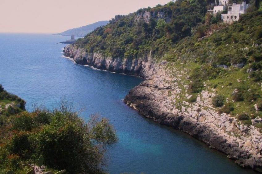 Girasoli in Tricase Porto - foto 27