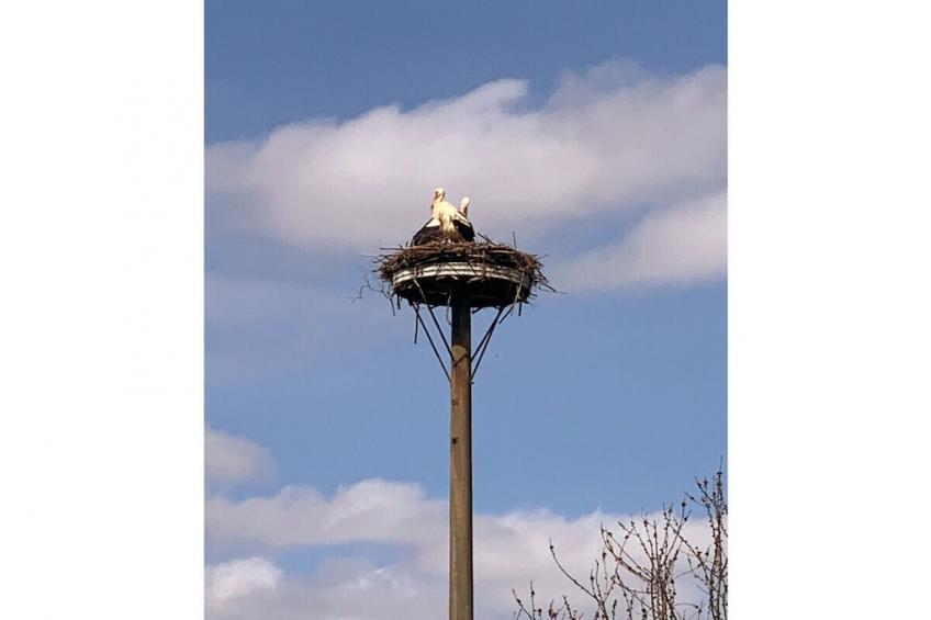 280447 - foto 32