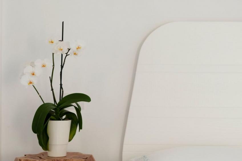 Wohnung 'Il Pergoletto' mit Terrasse - foto 27