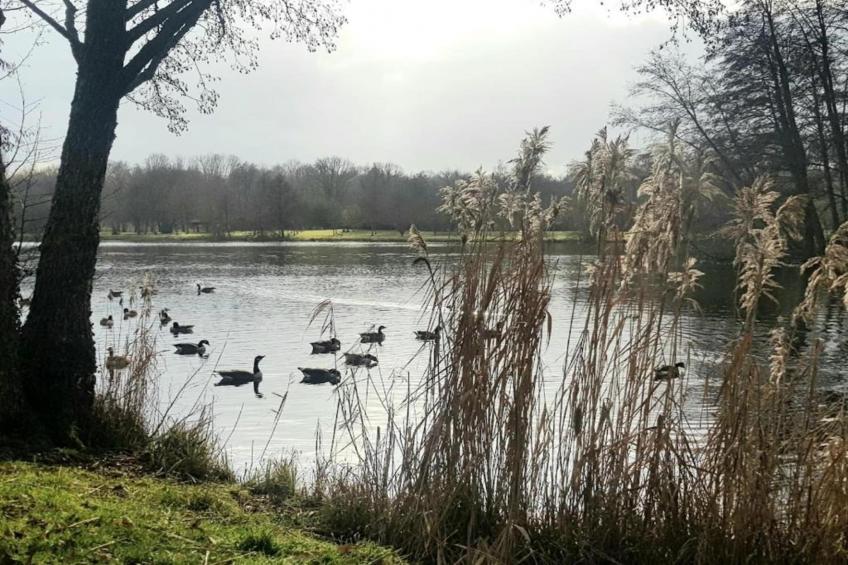 Maison de vacances - DIGES - foto 37