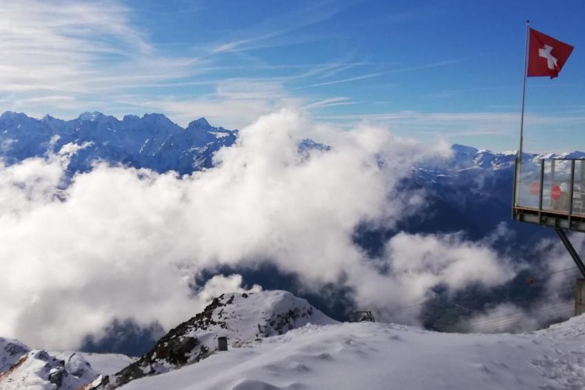 Chalet 3 Zi. in ruhiger Lage, in der Nähe von Verbier - foto 24