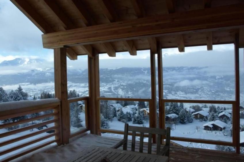 Blue Merle - foto 32