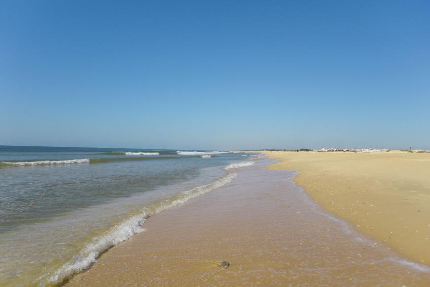 direkt am Strand - foto 17