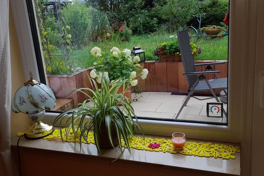 FeWo Sonnenblume - foto 12