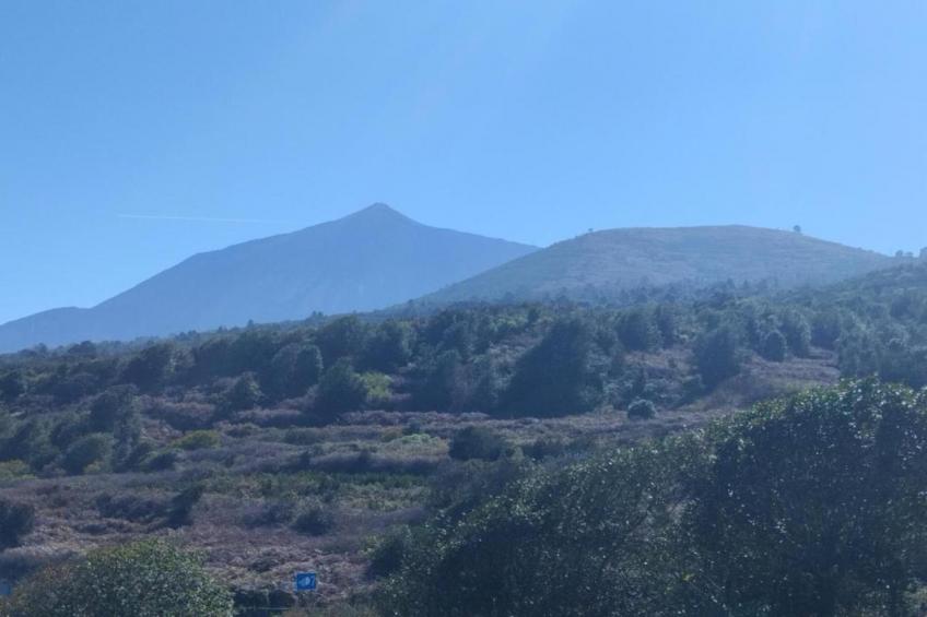 La casa de Amalia - foto 27