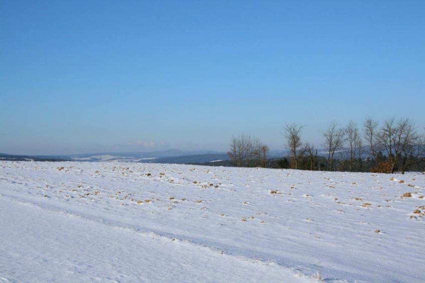 Has'n Res - foto 34