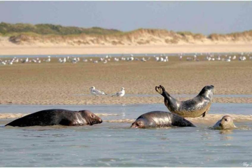 Berck sur Mer 8 - foto 38
