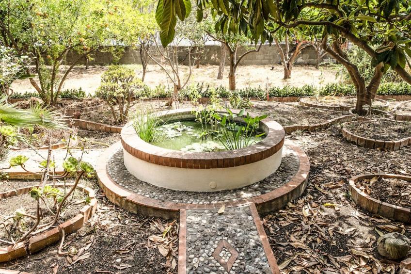 Die Orange und der Goldfisch - foto 19