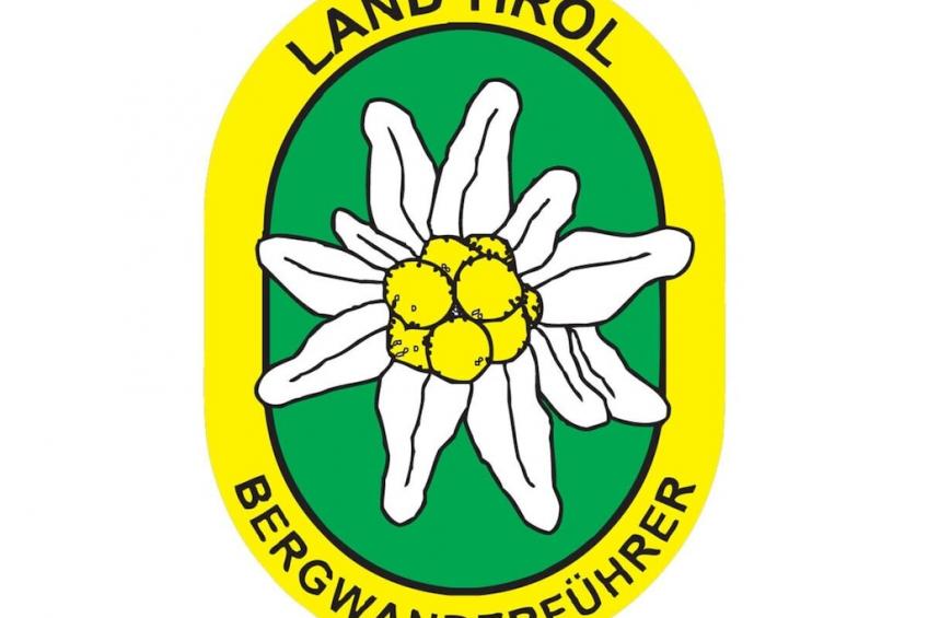 15319 - foto 11