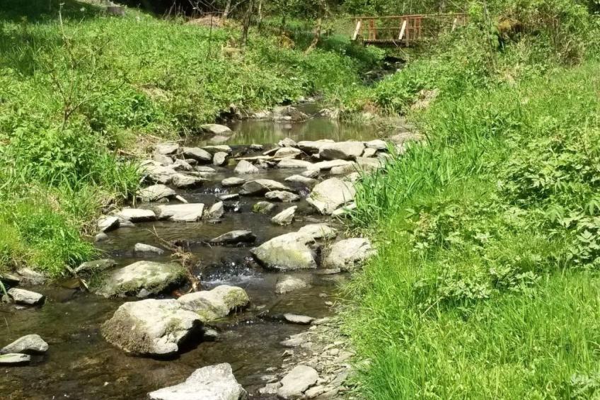 für 6 Personen im Thüringer Wald - foto 8