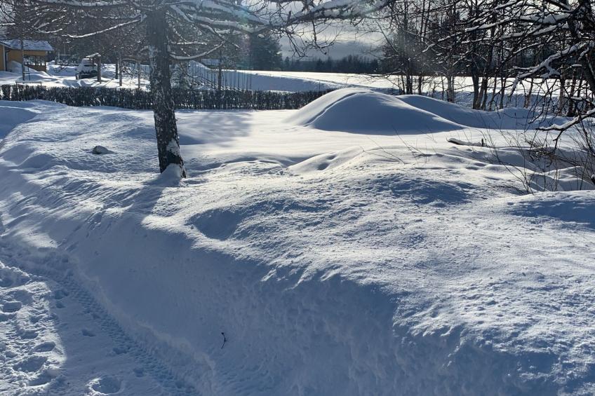 Landhaus auf großem Rasengrundstück - foto 16