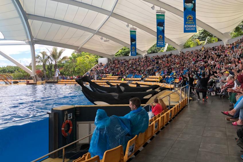 Apartment La Arena - foto 31