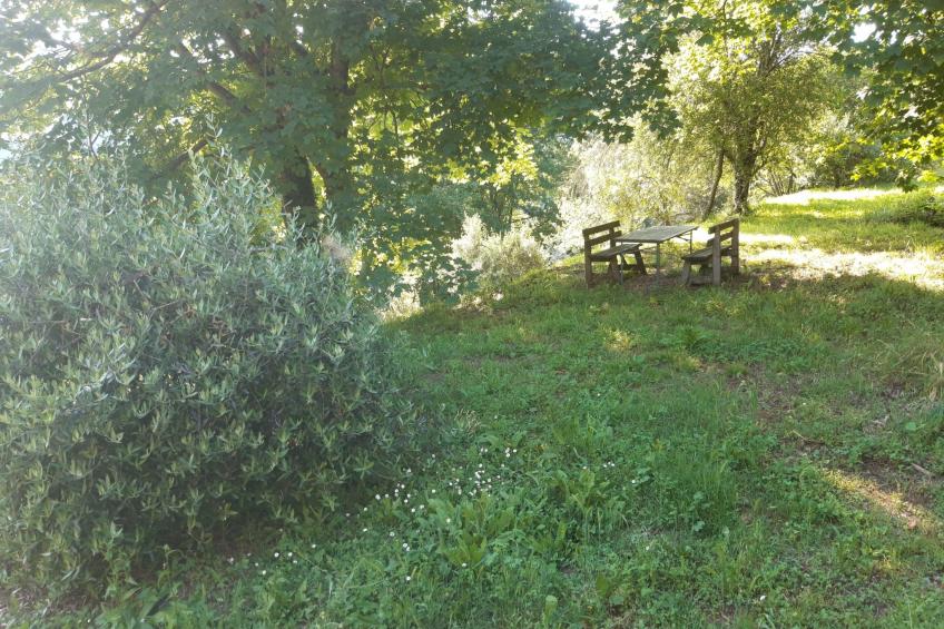 Toskanische Tradition - foto 6