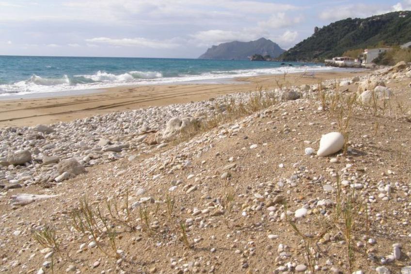 Lido Sofia - foto 21