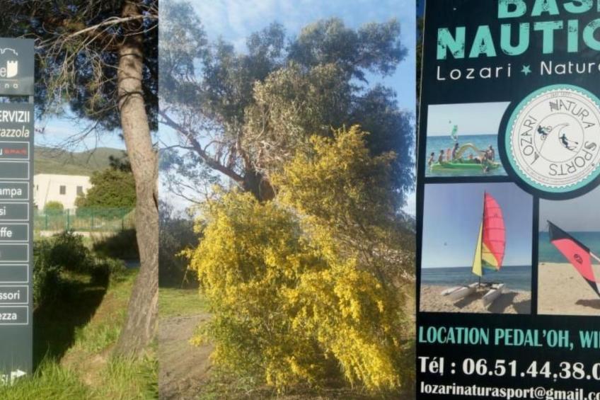 Wohnung mit allem Komfort Strand zu Fuß - foto 23