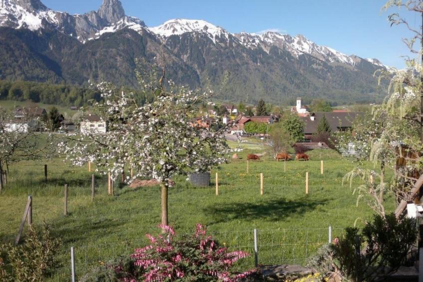 Stockhornblick - foto 18