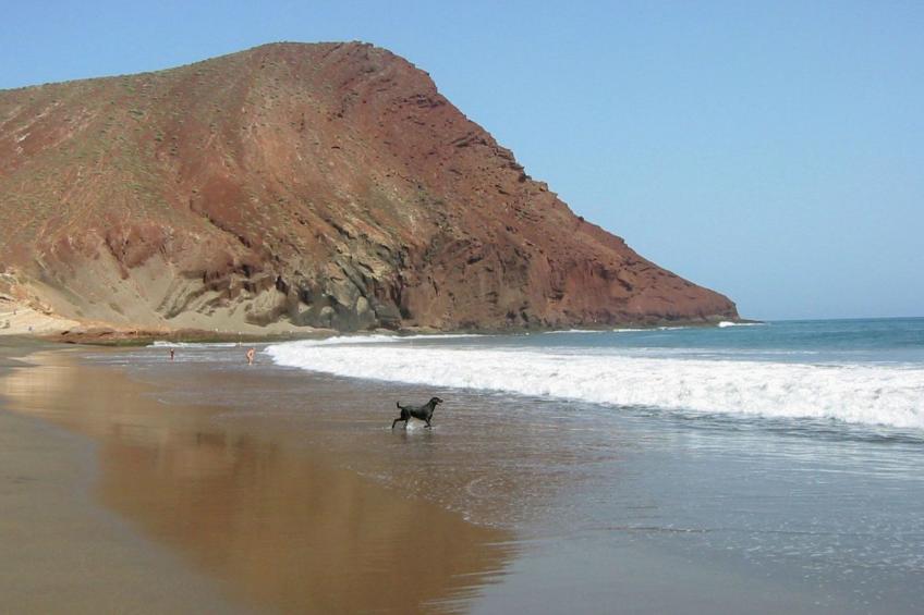 "Green Park 140 - foto 56