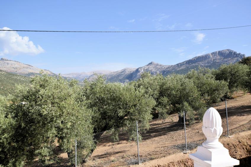 Casa Victor y Celia - foto 10