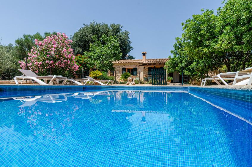 YourHouse Can Rafelino - foto 11