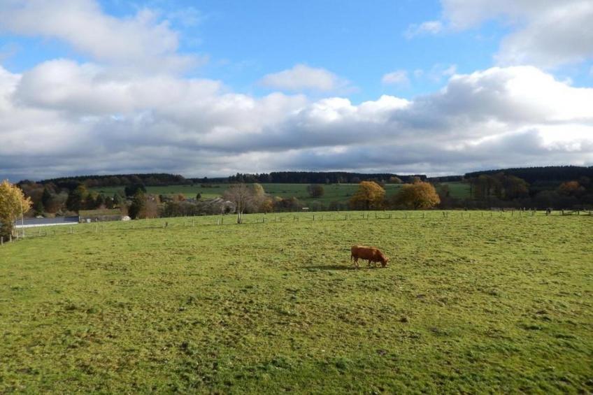 Chez Mari-Jo - foto 35