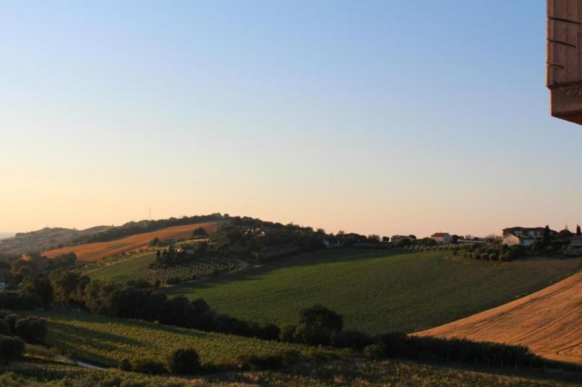 Olio - foto 26
