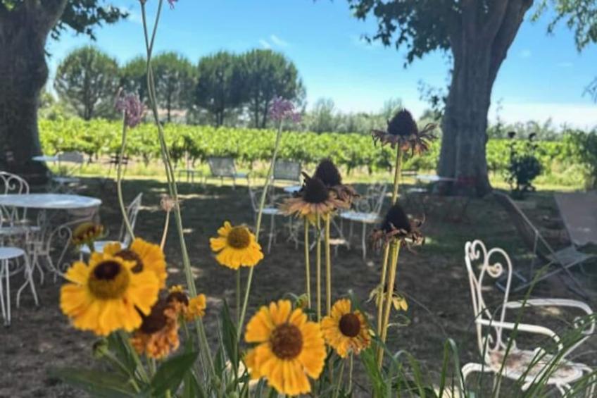 Résidence Gîte De La Cave - Charmant Gîte Provençal Avec Une Chambre - foto 38