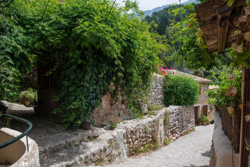 OLIVERET DES PUIG - foto 23