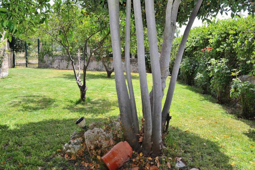 Maison à Lloret de vistalegre - foto 20