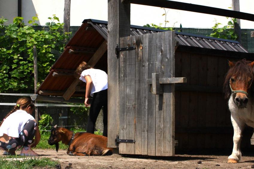 Zevnik Quiet Retreat with Stunning Views and Equestrian Activities - Triple Room with Private  Bathroom - foto 10