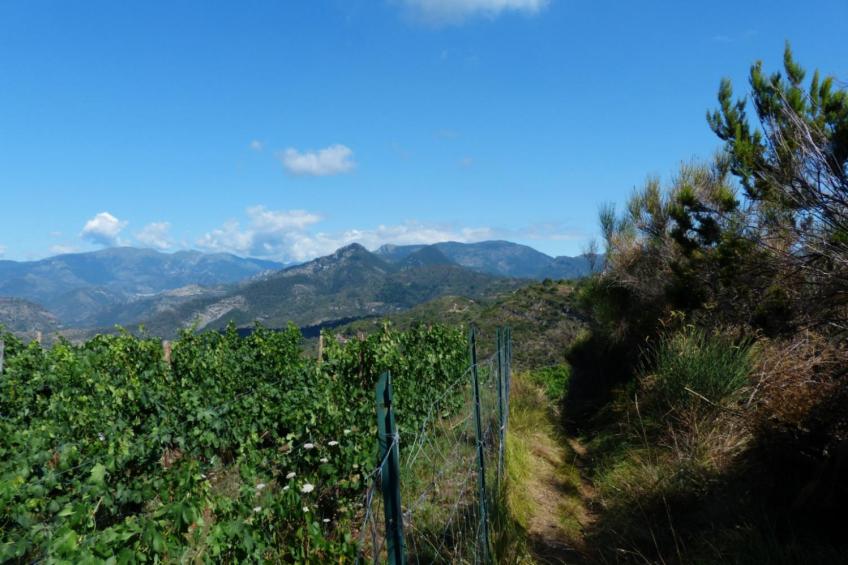 Agriturismo Borgo Ameno Two-room Apt 4 Pax Bx4 - foto 14