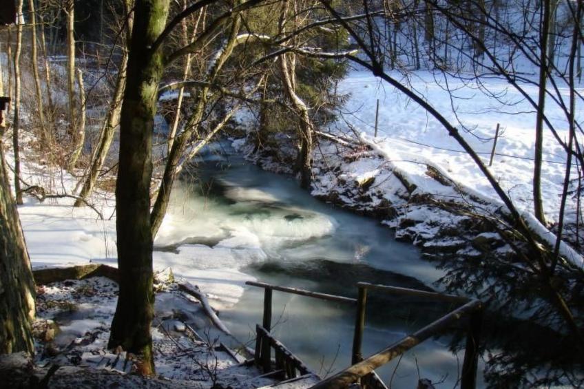 Altes Forsthaus - foto 14