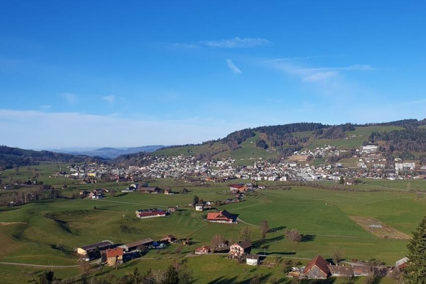 87981 - foto 2