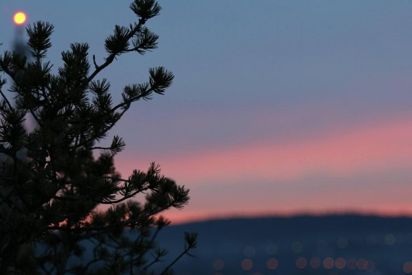 Wunderschönes Ferienhaus in Zainingen - foto 22