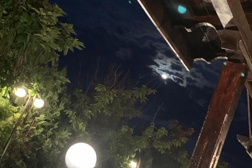 Wohnung in einer engen und ruhigen Anlage - foto 23