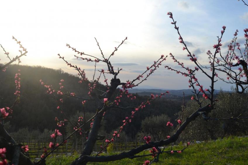 Wohnung Leonardo - foto 22