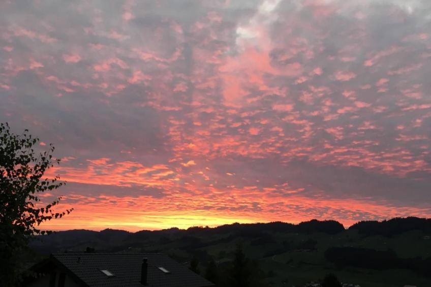 Chalet Muse - foto 40