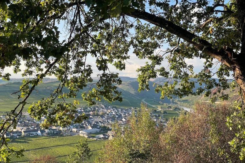 Auszeit Trittenheim - foto 17