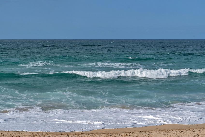 No. 5 Harlequin - foto 19