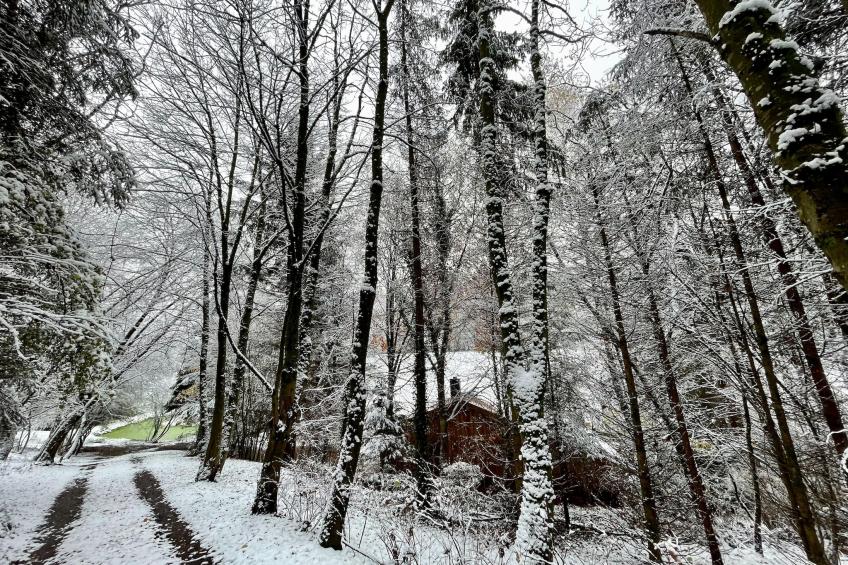 La Linotte - foto 27