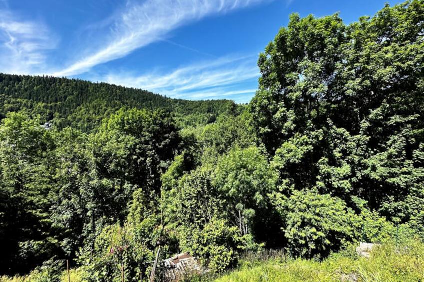 Appartements à Le Mont Dore - foto 15