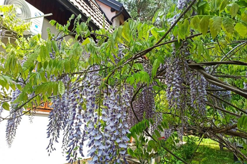 Übernachtung für einen unvergesslichen Besuch der Plitvicer Seen - foto 6