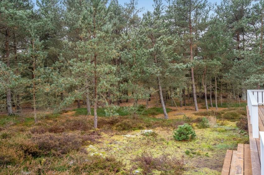 "Syrine" - 300m from the sea in NE Jutland - foto 11