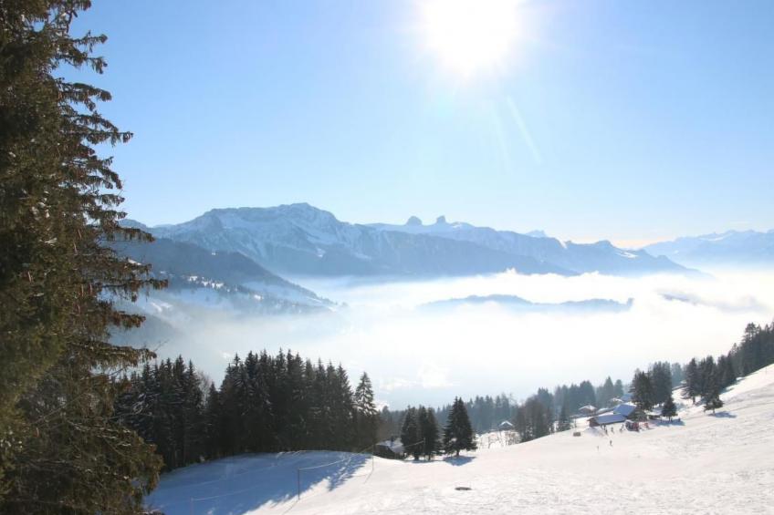 Les Narcisses,Blonay - foto 10