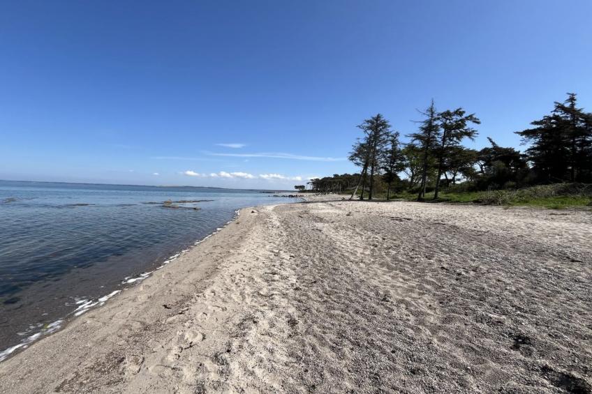 "Kjell" - 25m from the sea - foto 4