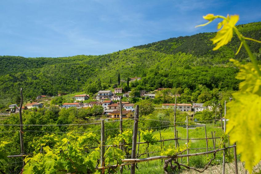 Sirotnjak 1 - foto 43