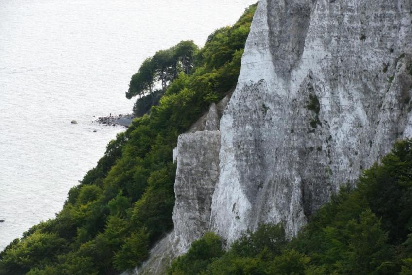 Ferienapartm.-ruegen - foto 34