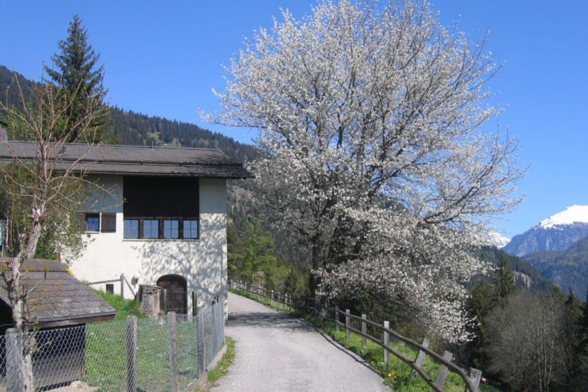 Wohnung Staudenhof, (Präz), - foto 4