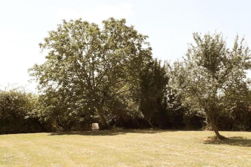 Des 3 Mathildes - foto 31