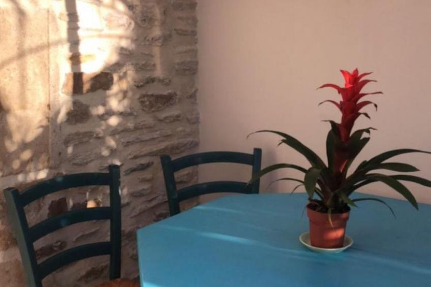 Stadthaus mit eigenem Garten und Grill - foto 2